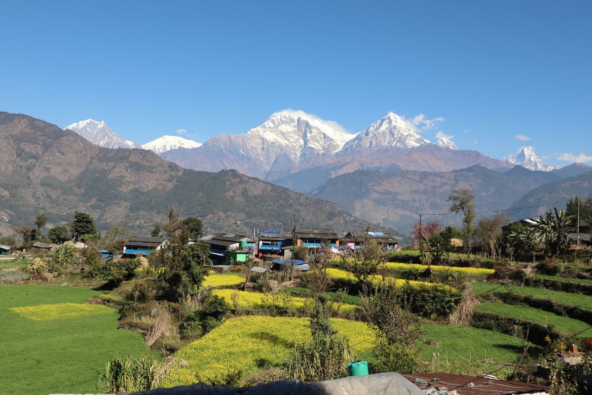 बेनीको तोरीपानीमा सयपत्री ‘होमस्टे’ सञ्चालन