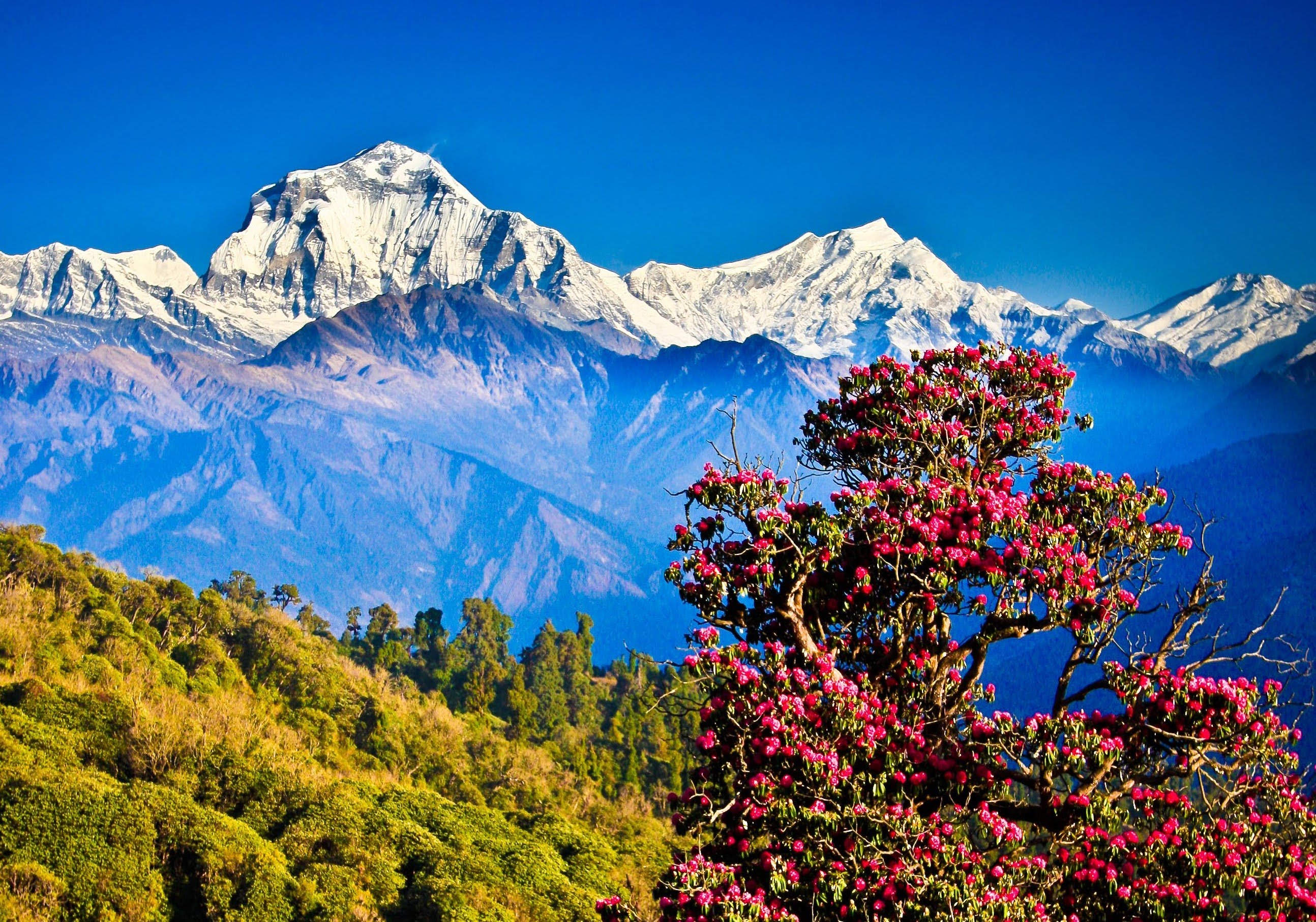 दशैंमा मौसम अनुकूल रहने संकेत, यात्रा गर्दा सतर्कता अपनाउन आग्रह