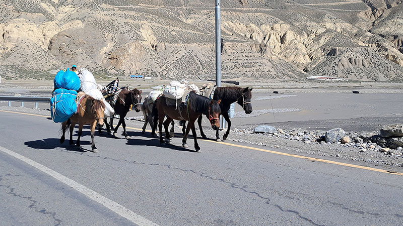 दसैंको मुखमा चीनतर्फका तीनवटै नाका बन्द, व्यापार र आपूर्ति प्रभावित
