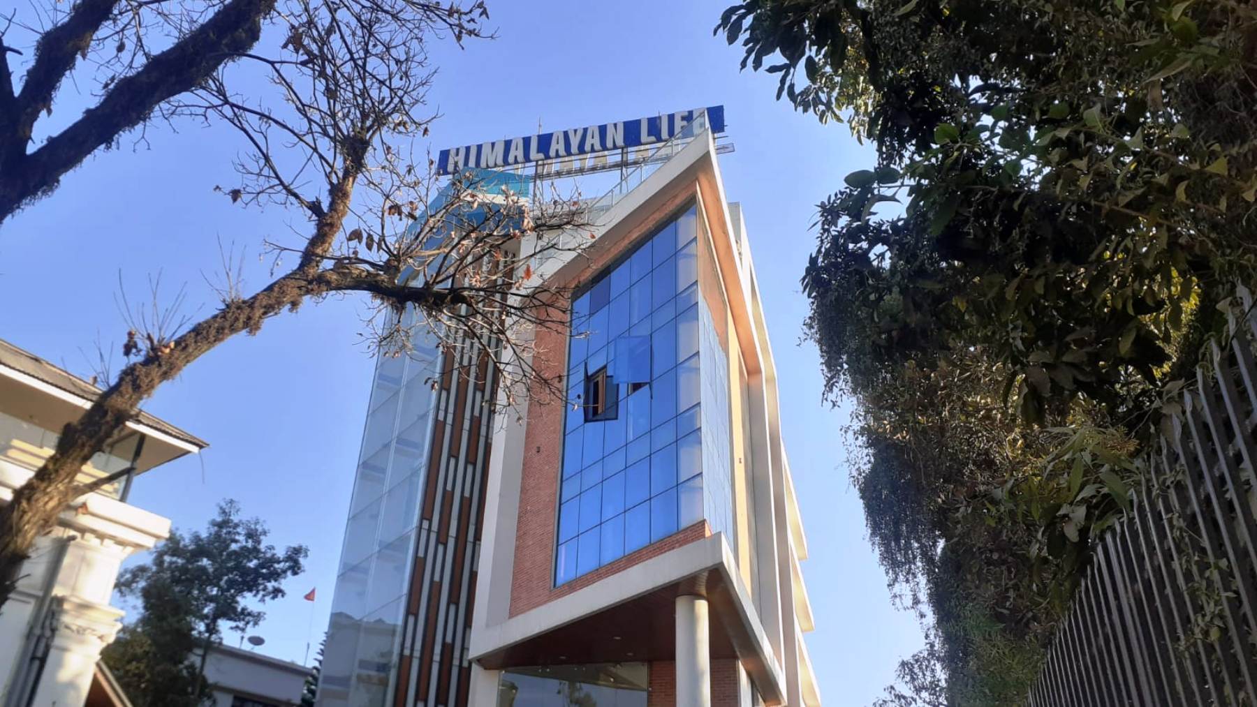 हिमालयन लाइफको सीईओ नियुक्ति प्रक्रिया रोक्न सर्वोच्चको अन्तरिम आदेश