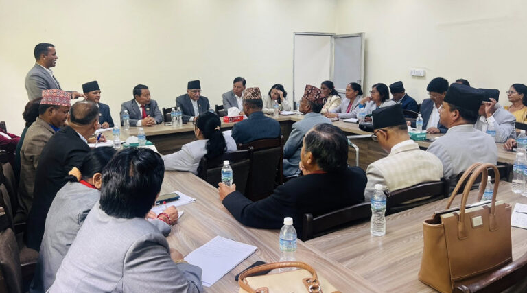 प्रतिनिधिसभा नियमावलीमा भएका गलत प्रावधानमाथि संशोधन पेश गर्दै नेकपा